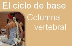 columna_vertebral1